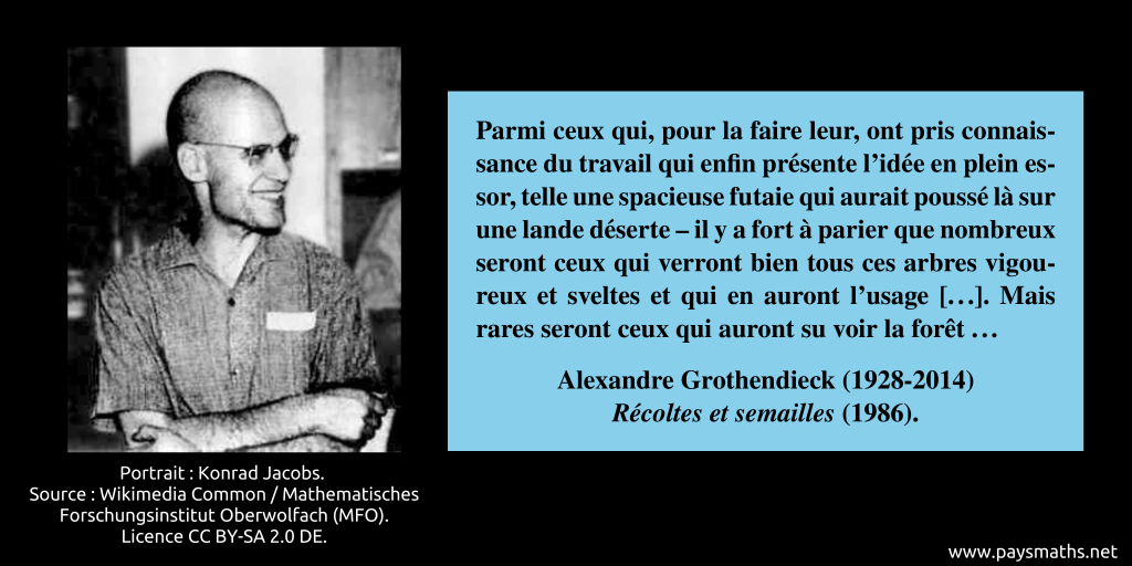 Portrait photographique d'Alexandre Grothendieck, et une citation : "Parmi ceux qui, pour la faire leur, ont pris connaissance du travail qui enfin présente l’idée en plein essor, telle une spacieuse futaie qui aurait poussé là sur une lande déserte – il y a fort à parier que nombreux seront ceux qui verront bien tous ces arbres vigoureux et sveltes et qui en auront l’usage [...]. Mais rares seront ceux qui auront su voir la forêt ..."