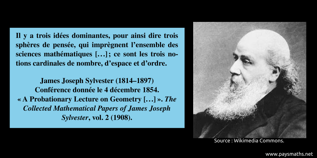 Portrait photographique de James Joseph Sylvester, et une citation : "Il y a trois idées dominantes, pour ainsi dire trois sphères de pensée, qui imprègnent l'ensemble des sciences mathématiques [...] ce sont les trois notions cardinales de nombre, d'espace et d'ordre."